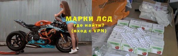 дмт Вяземский