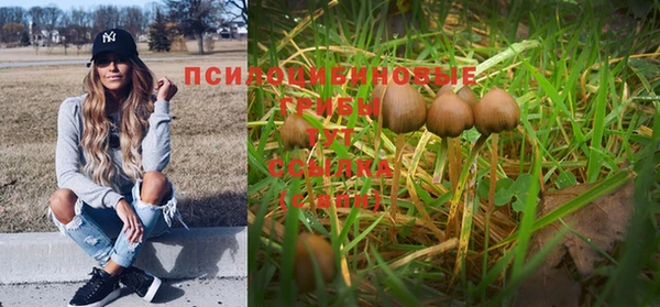 дмт Вяземский
