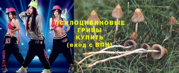 дмт Вяземский