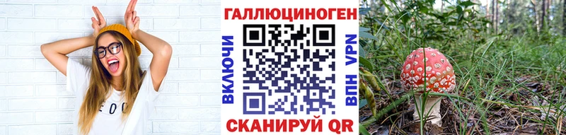 Галлюциногенные грибы MAGIC MUSHROOMS  Вихоревка 